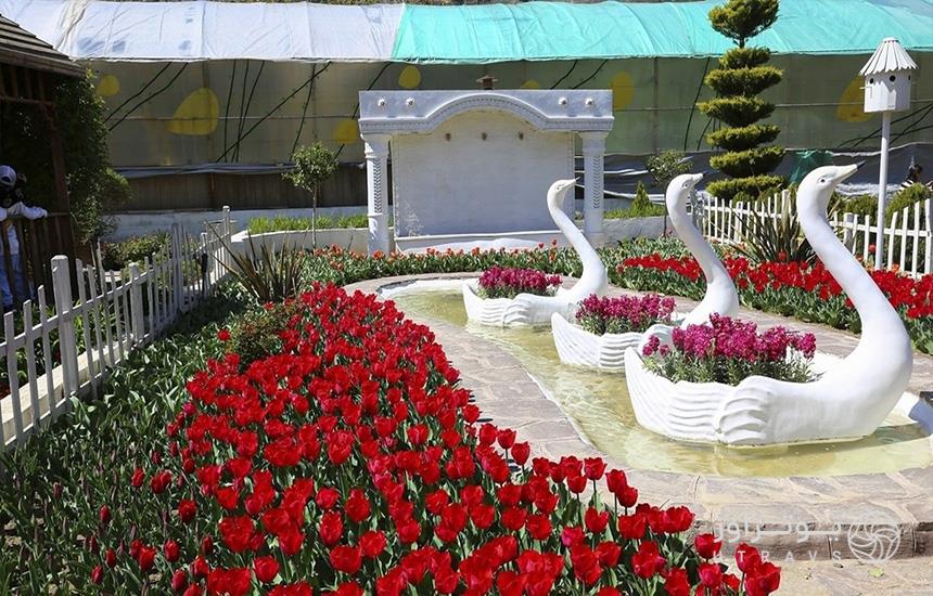 باغ لاله‌های کرج؛ در فضایی محصور با نرده‌های سفید، تعدادی لاله قرمز کاشته شده‌است و سه مجسمه‌ی سفیدرنگ قو که دسته‌ای گل صورتی در آن‌هاست.